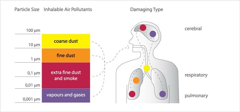 Inhalable air pollutants