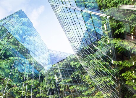 adobestock_260962265_glass-office-reflecting-trees-min.jpeg